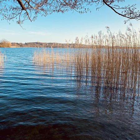 Landhaus Am See App. 2 Ponitz am See Экстерьер фото