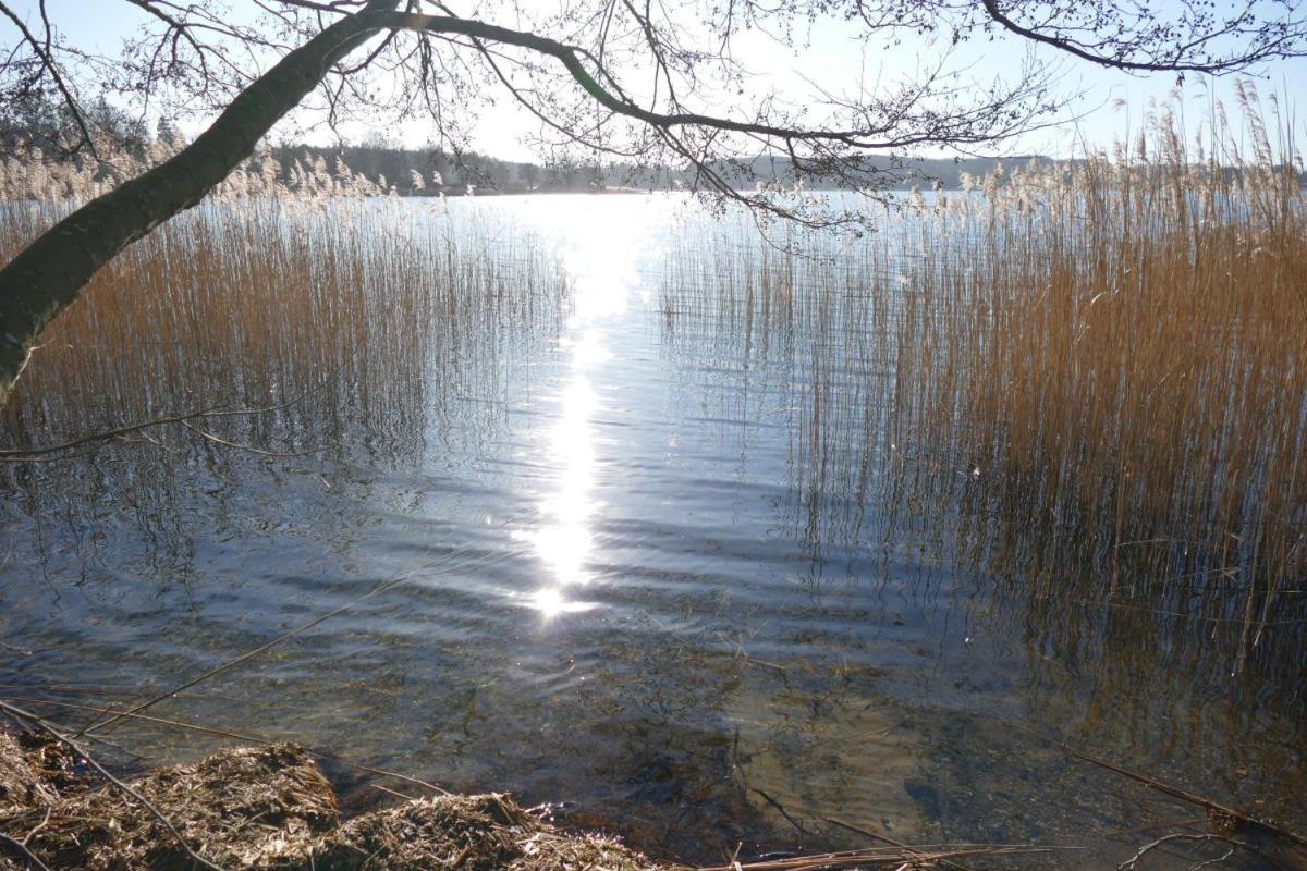 Landhaus Am See App. 2 Ponitz am See Экстерьер фото